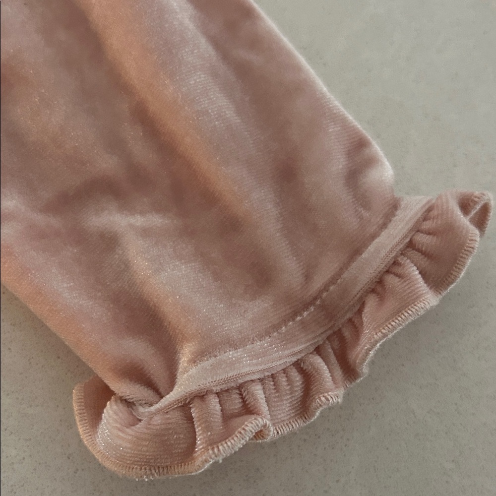 Cheeky Plum Blush Velvet Leotard - Picture 4 of 4